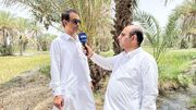 فیلم | قصرقند، نگین سبز سیستان و بلوچستان در تولید محصولات گرمسیری