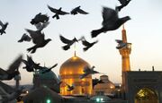 مدیرکل ارشاد گیلان: تمام ظرفیت‌ها استان برای هفدهمین جشنواره نویسی رضوی استفاده شود