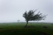 وزش باد در استان اردبیل ادامه می‌یابد