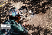 جنگلبانان خوزستان؛ حافظان بی‌ادعای میراث زاگرس