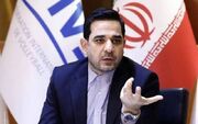 تقوی: تلاش فدراسیون برای حمایت از بانوان والیبال ادامه دارد