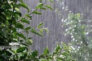 رگبار باران، تگرگ و تندباد لحظه‌ای در راه هرمزگان