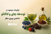 ترکیبات موجود در توت‌ها، چای و کاکائو دشمن پیری مغز