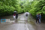 رگبار باران در ۹ استان نوار شمالی کشور 