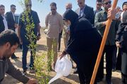 معاون رئیس‌ جمهور: تحقق عدالت زیستی از اولویت‌های دولت چهاردهم است