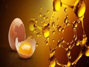 بهبود اسیدهای چرب و آنتی‌اکسیدان تخم‌مرغ با مکمل‌سازی غذایی