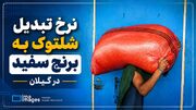 اینفوگرافیک| اعلام نرخ جدید تبدیل شلتوک به برنج سفید در گیلان