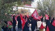 یزد؛ میعادگاه عاشقان حسین(ع) در اربعین+فیلم