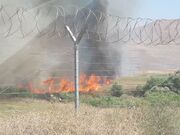 مهار آتش‌سوزی پارک ملی بمو پس از ساعت‌ها عملیات نفس‌گیر