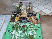 آیین بزرگداشت شهید خلبان مجید کاظمی در شیراز برگزار شد