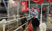استاندار خوزستان: بیش از ۲ میلیون و ۱۷۰ هزار تردد از مرزهای اربعینی استان ثبت شد