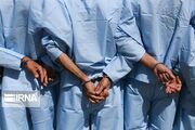 هفت سارق حرفه ای در بابل دستگیر شدند