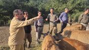 مارال در آستانه بازگشت به ارسباران