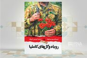 رمان «روباه و گل‌های کاملیا» داستانی درباره دهکده‌ای ایتالیایی