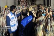 انجام بیش از ۶ هزار بازرسی بهداشتی از مواکب اربعین در خوزستان