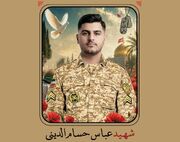 رد نرگس؛ روایت داستانی از سرباز «عباس حسام‌الدینی»، شهید پادگان بمپور
