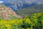 سمنان در مسیر صیانت از طبیعت