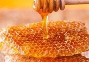 ظرفیت طلایی اسدآباد برای توسعه صنایع تبدیلی عسل