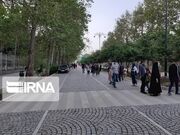 در صحن شورا چه گذشت؟ تقطیع خبر سنگ‌فرش‌ها تا انتقاد از نوشته‌های ناخوانا در تبلیغات شهری