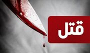 بسته حوادث/ راز قتل مرد ۴۲ ساله در شهرک سجادیه با همدستی همسر مقتول