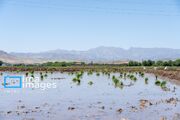 هشدار بارش در ۳ استان کشور