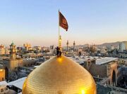 خوان مهربانی امام رئوف؛ سفره‌ای به وسعت همه دل‌ها