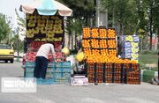 بساط انگورفروشی در بدرانلوی خراسان شمالی؛ یک ترمز تا فاجعه