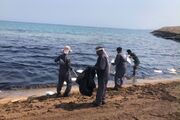 مشارکت بنادر و دریانوردی هرمزگان در پاکسازی آلودگی نفتی قشم