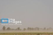 یک‌هزار هکتار از کانون‌های اصلی گردوغبار در قم تحت عملیات مهار قرار گرفت