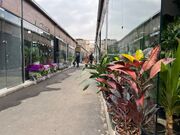 بازار گل محلاتی رأی تخریب دارد، اما اجرا نمی‌شود