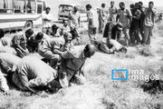 ۴۳۴ آزاده بوشهری سند افتخار ایثارگری هستند