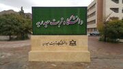 ۳۸ درصد منابع درآمدی دانشگاه تربت‌حیدریه از محل پژوهش تامین شد