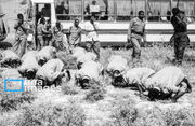 اشتغال فرزندان و بیمه، مهمترین دغدغه آزادگان استان یزد