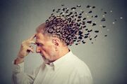 پزشکی خانواده می‌تواند بستر شناسایی افراد در معرض خطر دمانس باشد