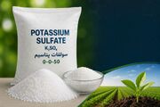 خدمت به امنیت غذایی کشور؛ تولید سولفات پتاسیم در آرادان