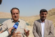 ایجاد سه هزار هکتار نخلستان‌ در ایلام امکان‌سنجی شد