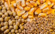 یک همت در طرح های فناورانه صنعت خوراک دام و طیور سرمایه گذاری می شود