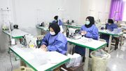بیش از ۳ هزار میلیارد ریال تسهیلات اشتغال‌زایی به بانوان مددجوی بوشهر پرداخت شد