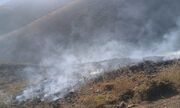 آتش‌سوزی شلم‌ کوه ایلام مهار شد