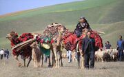 هفت حلقه چاه و ۲۴ رشته قنات عشایر سمنان بهسازی شد