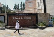 برگزاری بدون وقفه کنگره بین‌المللی رویان در ۲۷ سال اخیر