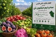 جهش تولید باغی فارس از مرز سه و نیم میلیون تن