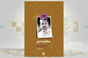 مقلد امام خمینی(ره) تا کجا؟