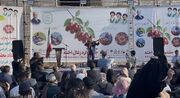 زغال‌اخته کلیبر در مسیر تبدیل شدن به برند ملی