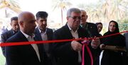 تاکید رئیس سازمان بهزیستی بر عبور از «نگهداری محض» به «توانمندسازی» در مراکز سالمندان