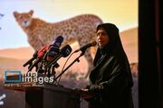 انصاری: همه ظرفیت‌ها باید برای حفاظت از یوز به میدان بیایند