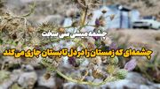 فیلم| خنکای «چشمه‌ میشی» سی‌سخت کهگیلویه و بویراحمد در تابستان داغ