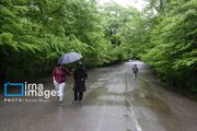 کاهش نسبی دما در ۸ استان نوار شمالی کشور 