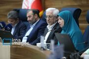 رییس سازمان محیط زیست: شورای راهبردی پارک ملی گلستان فعال می‌شود