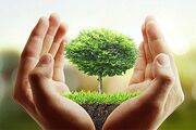 ۲۵۲ خانه محیط زیست محلات تهران کجا هستند؟
